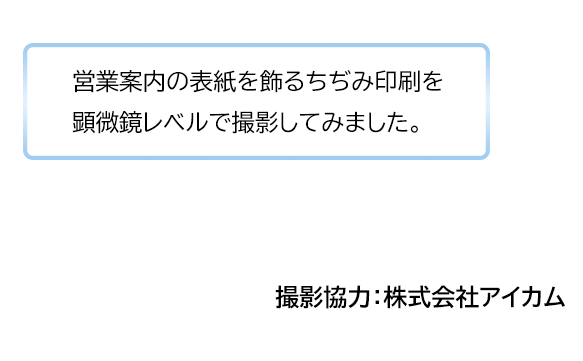 ちじみ印刷動画